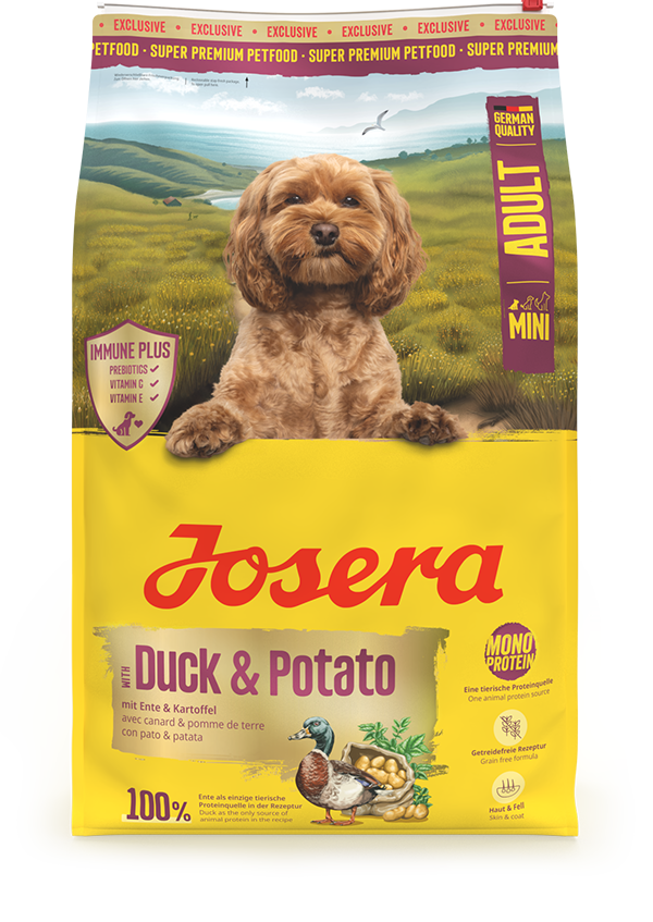 Duck & Potato Duck & Potato