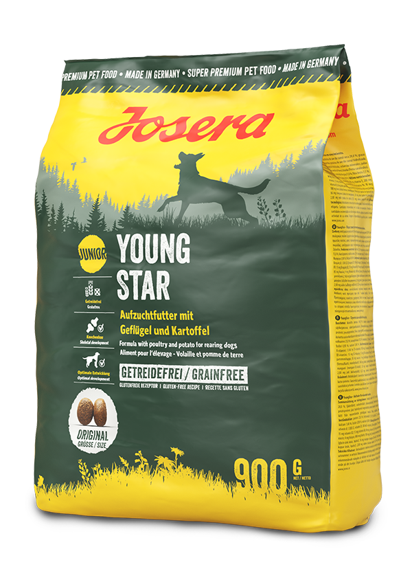 Young Star Young Star