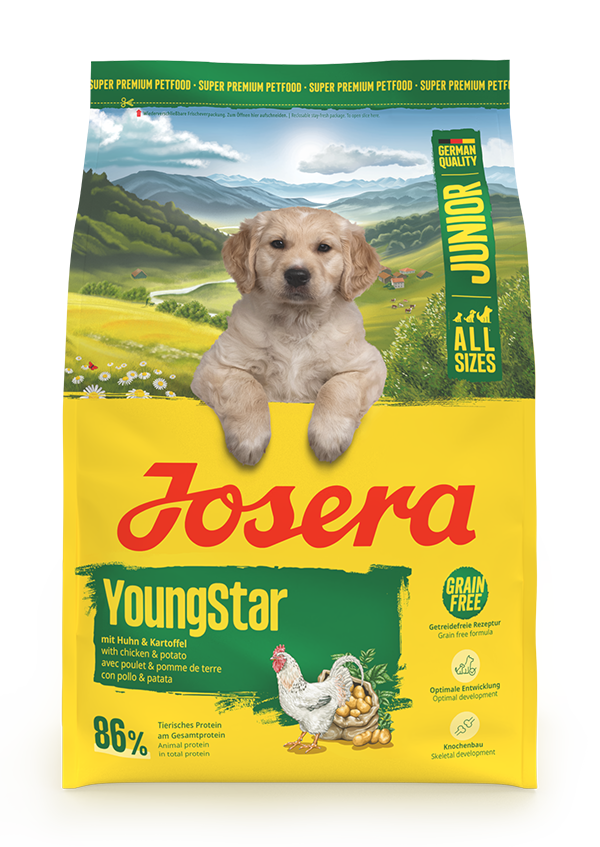 Young Star_NEW Young Star_NEW