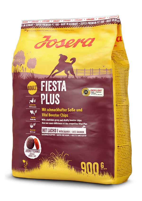 fiesta plus fiesta plus